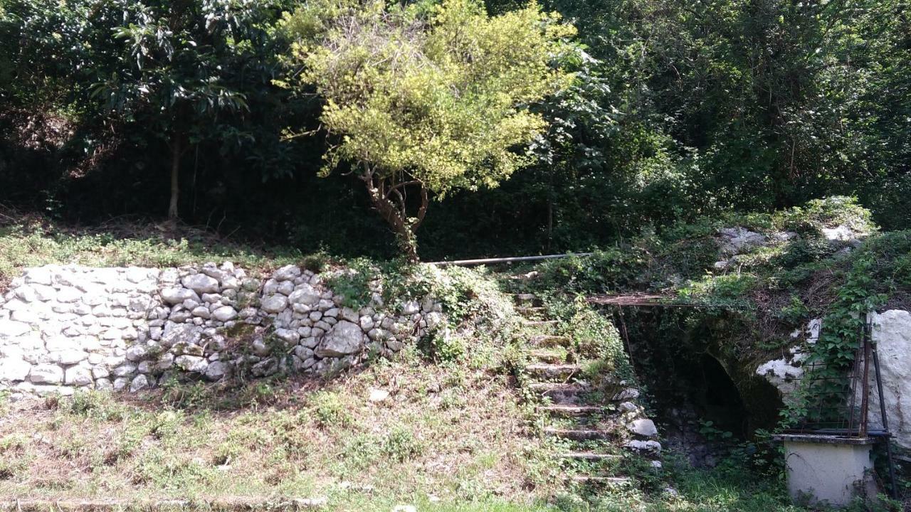 Terrazza Sul Borgo Villa Venzone Eksteriør bilde